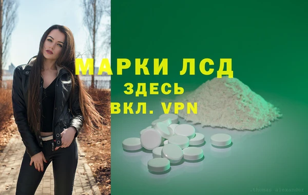 мет Алексин
