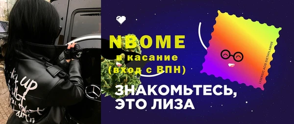 мет Алексин