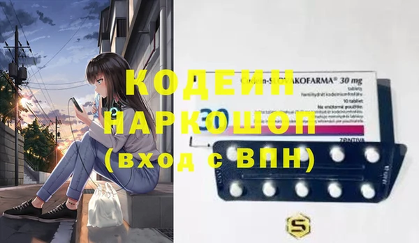 мет Алексин