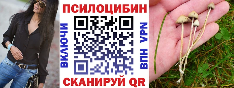 блэк спрут ONION  Муравленко  Псилоцибиновые грибы мухоморы 