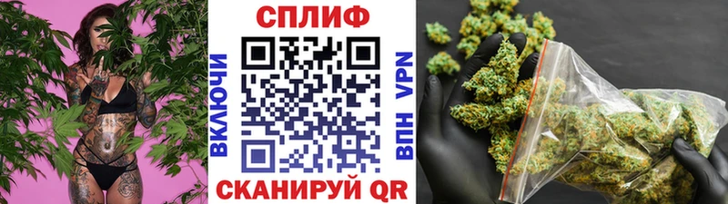 Бошки Шишки AK-47  Муравленко 